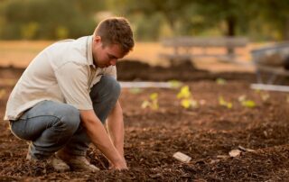 AgTech Summit, promovido pela Vertical da ACATE nos dias 24 e 25 de janeiro, traz autoridades do mercado para abordar desafios como mudanças climáticas e as transformações tecnológicas no campo.