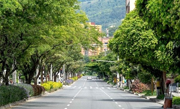 Em Medellin (Colômbia), corredores verdes reduzem os efeitos das ilhas de calor, diz a arquiteta urbanista Patricia Akinaga.