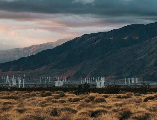 [OPINIÃO] A inovação climática precisa sair do papel (e das bolhas)